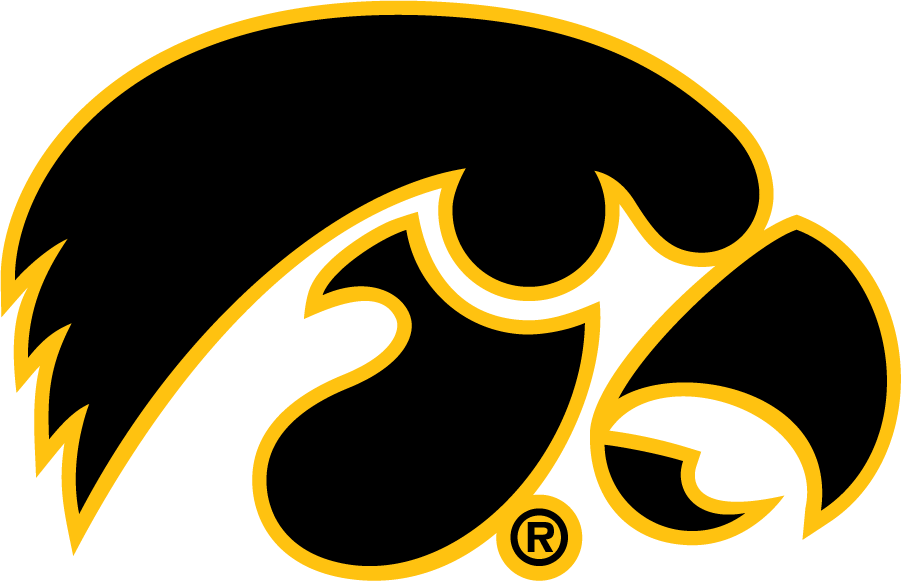 Iowa Hawkeyes 1979-Pres Alternate Logo DIY iron on transfer (heat transfer)